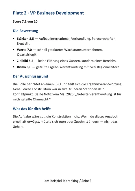 Seite 3: Platz 2, VP Business Development