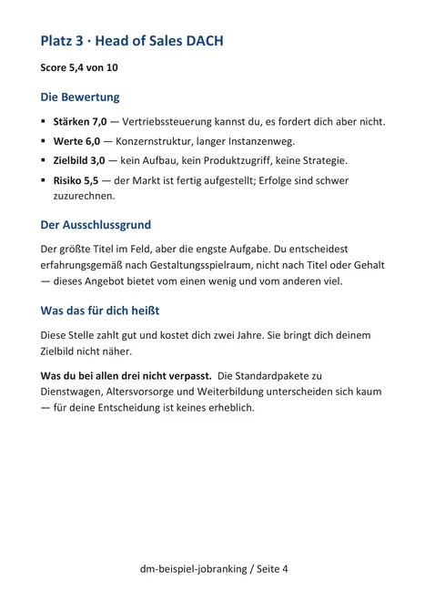 Seite 4: Platz 3, Head of Sales DACH