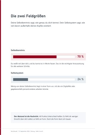 Seite 4 des Reports: Die zwei Feldgrößen