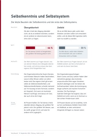 Seite 6 des Reports: Übergebbarkeit und Zielbild