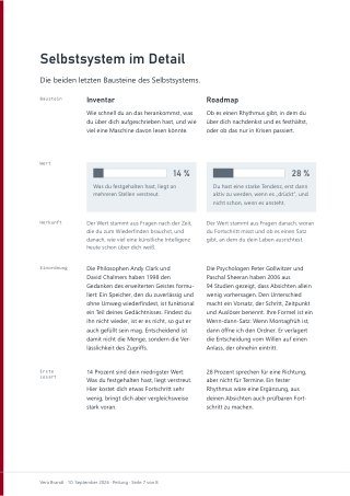 Seite 7 des Reports: Selbstsystem